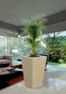 VASO Luxury 50